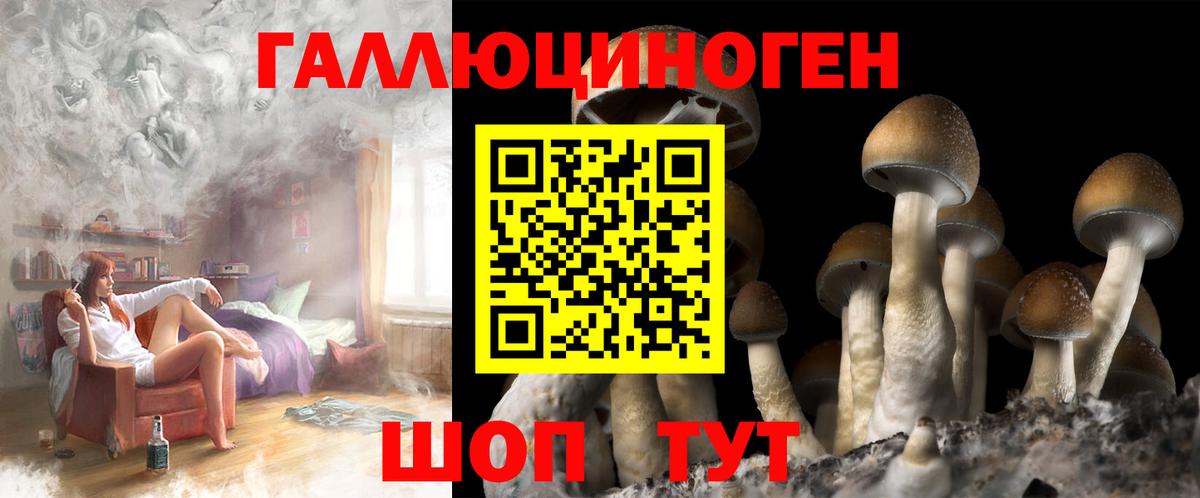 Галлюциногенные грибы Cubensis  Вход с VPN  Дубна 